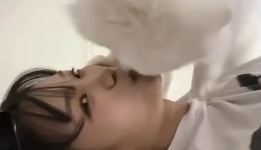 LE SSERAFIMチェウォンおっぱい動画｜ベロキスわんこ｜かわいい舐め舐め